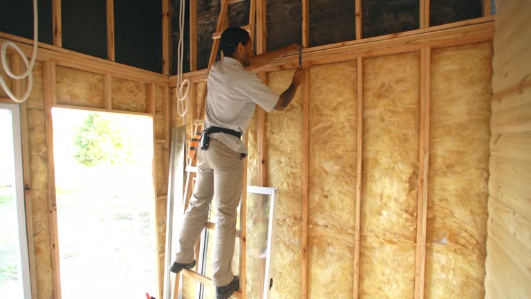 Best Pipe and Duct Insulation  in Lake Dalecarlia, IN